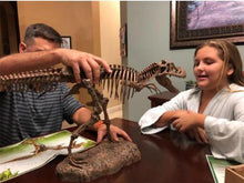 Load image into Gallery viewer, T-REX™ - Tyrannosaurus Model - Take Your Model Collection To The Next Level