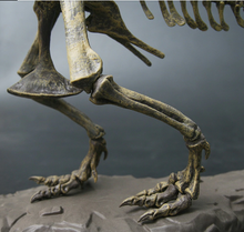 Load image into Gallery viewer, T-REX™ - Tyrannosaurus Model - Take Your Model Collection To The Next Level