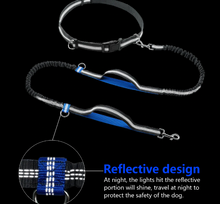 Load image into Gallery viewer, FreeWalk™- Dual Handle Hands-Free Dog Leash - Never Struggle to Walk with Your Dog Again