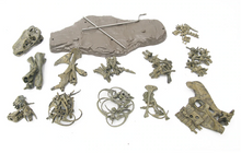 Load image into Gallery viewer, T-REX™ - Tyrannosaurus Model - Take Your Model Collection To The Next Level