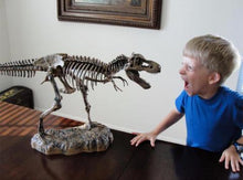 Load image into Gallery viewer, T-REX™ - Tyrannosaurus Model - Take Your Model Collection To The Next Level