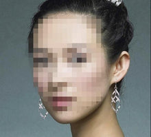Load image into Gallery viewer, Elegant Silver Plated Party Earrings