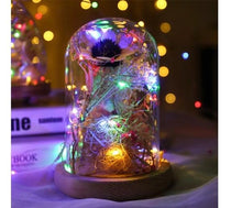 Load image into Gallery viewer, Menlida LED Home Decorations LED String Lights Starry Lights