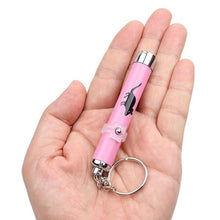 Load image into Gallery viewer, Pet LED Laser Pointer With Bright Animated Mouse