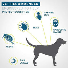 Load image into Gallery viewer, ZeroFlea™ - Pet Insect Repellent Collar - Kills & Repels Fleas for 8 Continuous Months