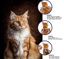 Load image into Gallery viewer, ZeroFlea™ - Pet Insect Repellent Collar - Kills & Repels Fleas for 8 Continuous Months