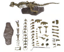 Load image into Gallery viewer, T-REX™ - Tyrannosaurus Model - Take Your Model Collection To The Next Level