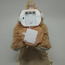 Load image into Gallery viewer, Peek a Boo Teddy Bear