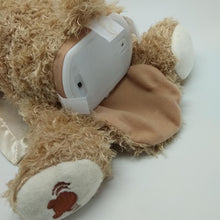 Load image into Gallery viewer, Peek a Boo Teddy Bear