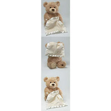 Load image into Gallery viewer, Peek a Boo Teddy Bear