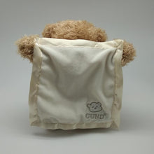 Load image into Gallery viewer, Peek a Boo Teddy Bear