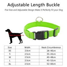 Load image into Gallery viewer, LED DOG COLLAR