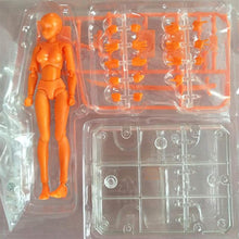 Load image into Gallery viewer, Body-Kun™ - Figure Models