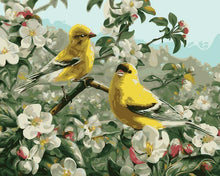 Load image into Gallery viewer, Goldfinch - Painting By Numbers