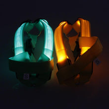 Load image into Gallery viewer, Super Safe LED Dog Harness