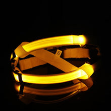 Load image into Gallery viewer, Super Safe LED Dog Harness
