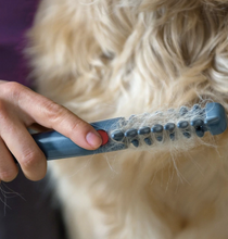 Load image into Gallery viewer, 2019 Electric Pet Grooming Comb