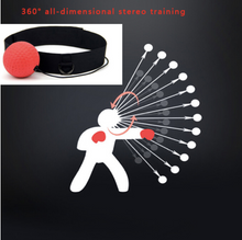 Load image into Gallery viewer, 2019 Boxing Reflex Ball