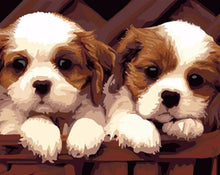 Load image into Gallery viewer, Twin Dogs- Painting By Numbers