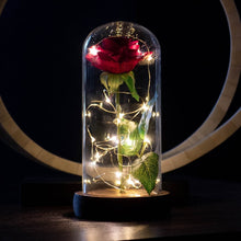 Load image into Gallery viewer, Enchanted Rose Flower Lamp