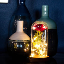 Load image into Gallery viewer, Enchanted Rose Flower Lamp