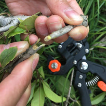 Load image into Gallery viewer, IGRAFT™ Professional Garden Grafting Tool Kit - Create garden your way
