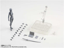 Load image into Gallery viewer, Body-Kun™ - Figure Models