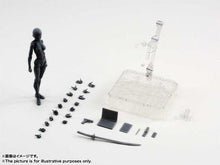 Load image into Gallery viewer, Body-Kun™ - Figure Models