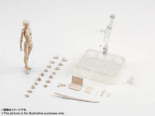 Load image into Gallery viewer, Body-Kun™ - Figure Models