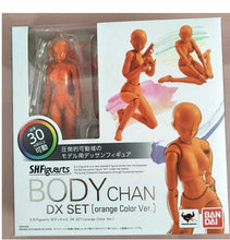 Load image into Gallery viewer, Body-Kun™ - Figure Models
