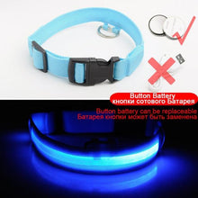Load image into Gallery viewer, LED DOG COLLAR