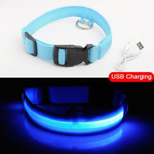 Load image into Gallery viewer, LED DOG COLLAR