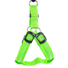 Load image into Gallery viewer, Super Safe LED Dog Harness