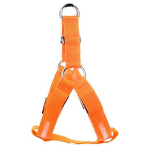 Load image into Gallery viewer, Super Safe LED Dog Harness