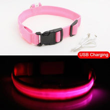 Load image into Gallery viewer, LED DOG COLLAR