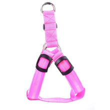 Load image into Gallery viewer, Super Safe LED Dog Harness