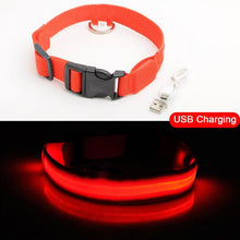 Load image into Gallery viewer, LED DOG COLLAR