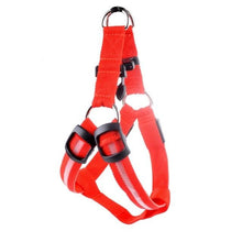 Load image into Gallery viewer, Super Safe LED Dog Harness