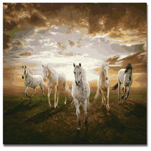 Load image into Gallery viewer, Five Horses Sunrise - Painting By Numbers
