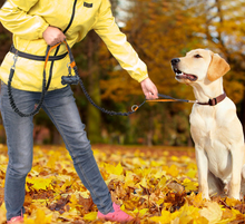 Load image into Gallery viewer, FreeWalk™- Dual Handle Hands-Free Dog Leash - Never Struggle to Walk with Your Dog Again
