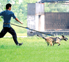Load image into Gallery viewer, FreeWalk™- Dual Handle Hands-Free Dog Leash - Never Struggle to Walk with Your Dog Again
