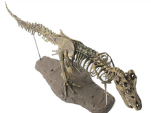Load image into Gallery viewer, T-REX™ - Tyrannosaurus Model -  Take Your Model Collection To The Next Level
