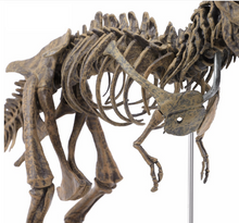 Load image into Gallery viewer, T-REX™ - Tyrannosaurus Model -  Take Your Model Collection To The Next Level
