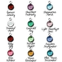 Load image into Gallery viewer, Diabetic Awareness Keychain With Birthstone and Diabetes Keyring
