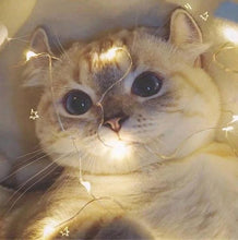 Load image into Gallery viewer, Menlida LED Home Decorations LED String Lights Starry Lights
