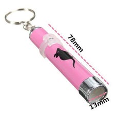 Load image into Gallery viewer, Pet LED Laser Pointer With Bright Animated Mouse
