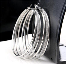 Load image into Gallery viewer, Hoop Dangle Earrings
