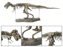 Load image into Gallery viewer, T-REX™ - Tyrannosaurus Model -  Take Your Model Collection To The Next Level
