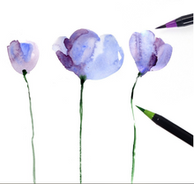 Load image into Gallery viewer, ARTWORK™ - Watercolor Brush Pen Sets - The Best Tool For Watercolor Painting
