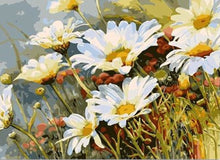Load image into Gallery viewer, Daisy - Day's eye - Painting By Numbers
